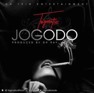 Trigmatic - Jogodo